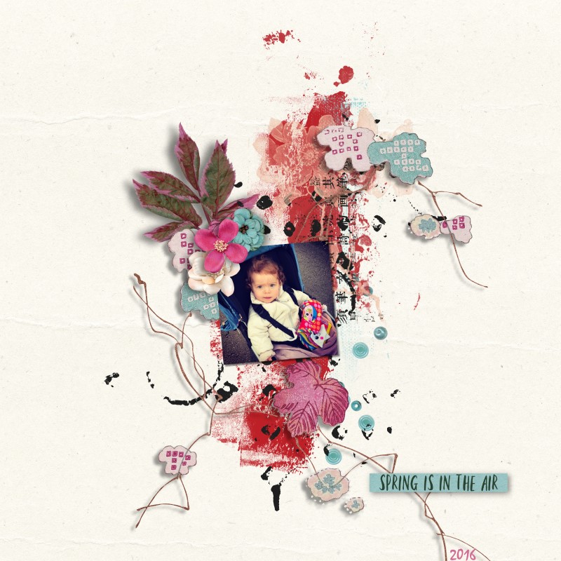Cherry Blossoms