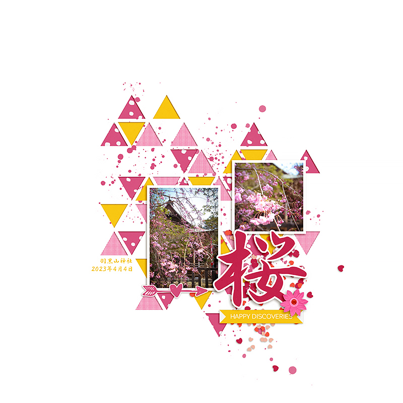 Cherry Blossoms