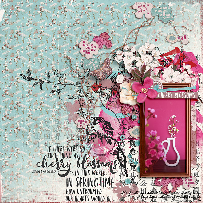 Cherry Blossoms