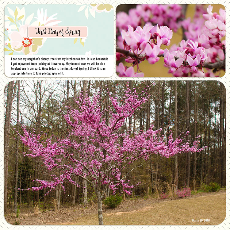 Cherry Tree