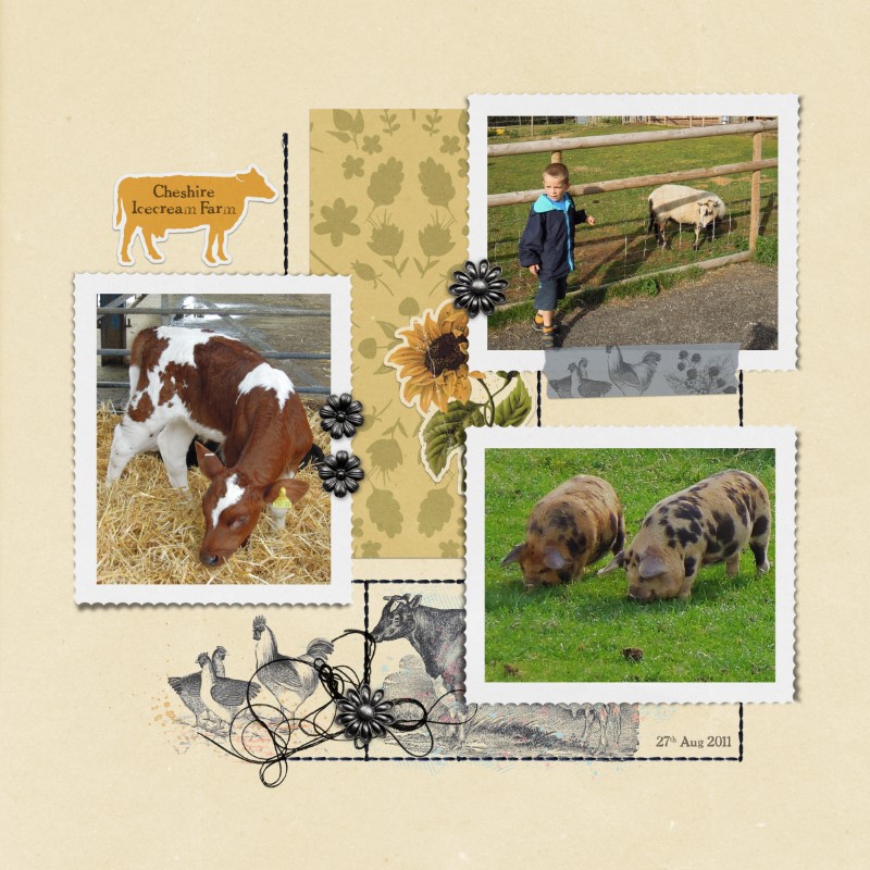Cheshire Farm