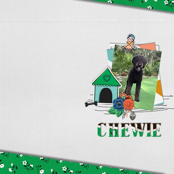 Chewie_MOC 6