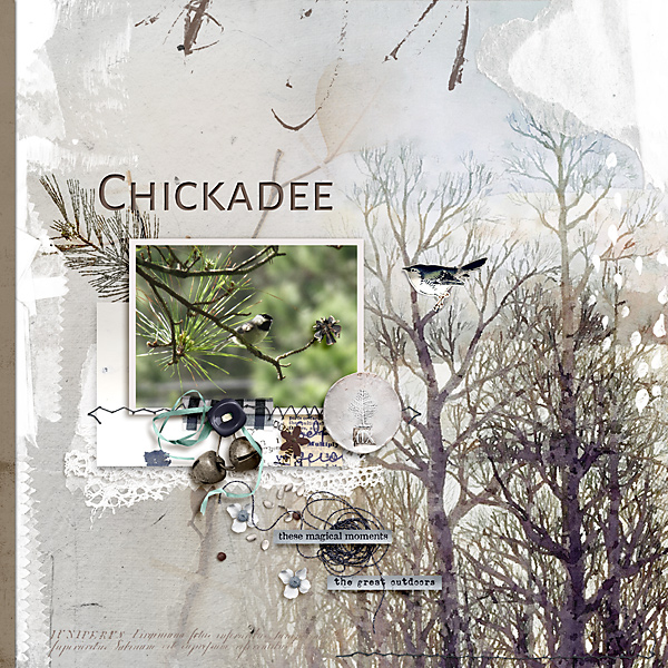 Chickadee