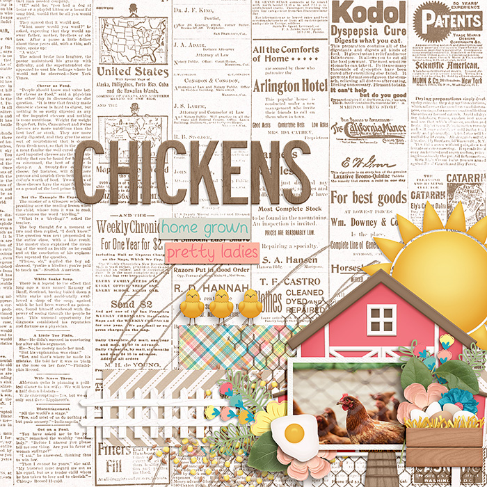 Chickens