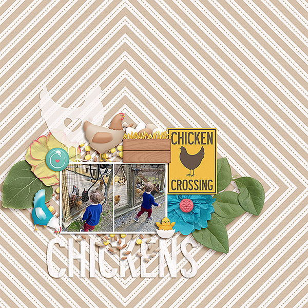 Chickens