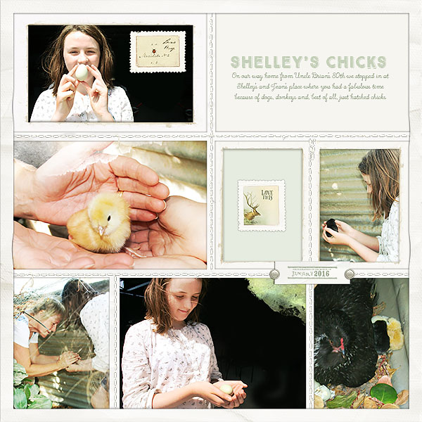 Chicks