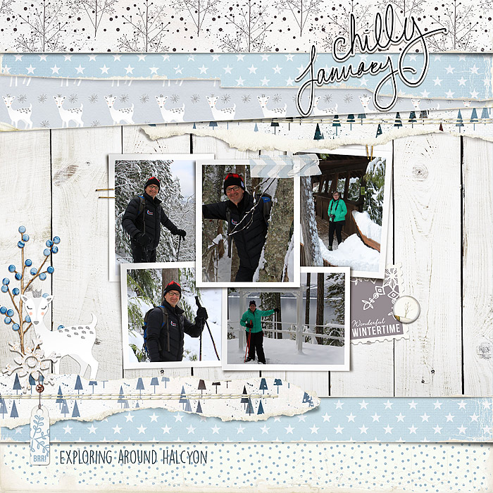 Chilly January - MOC #23
