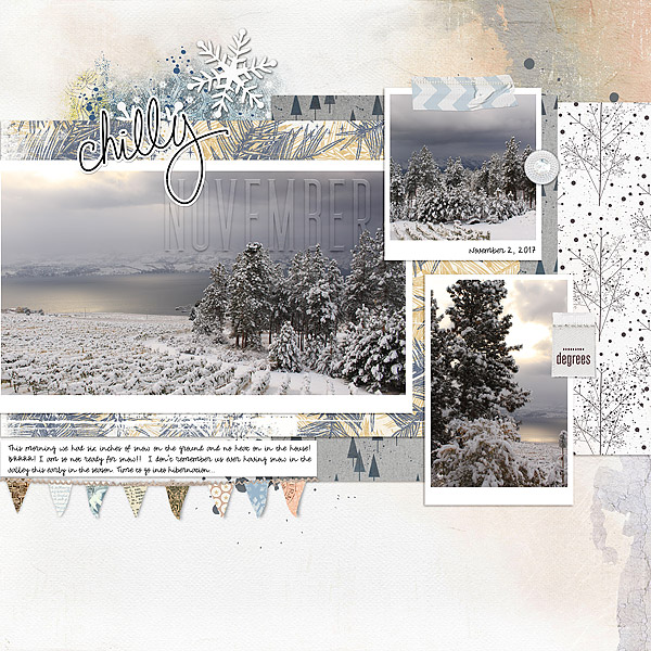 Chilly November