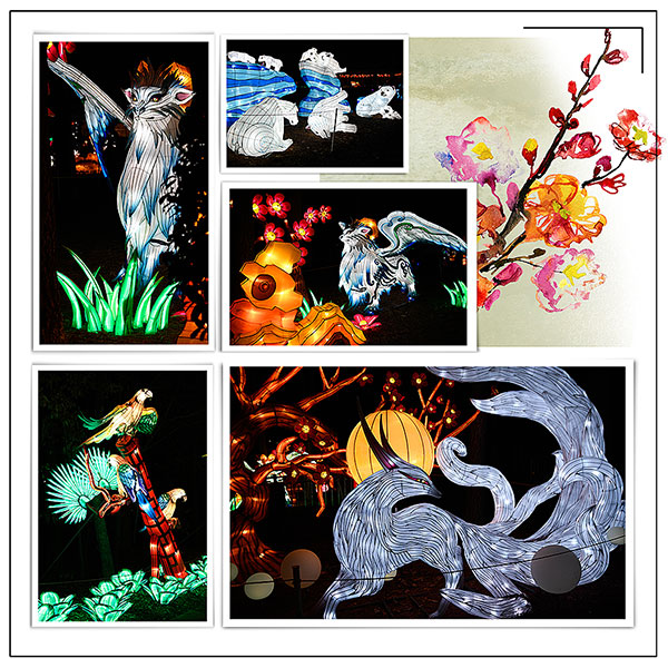Chinese Lantern Festival 5