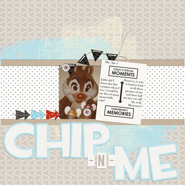 Chip