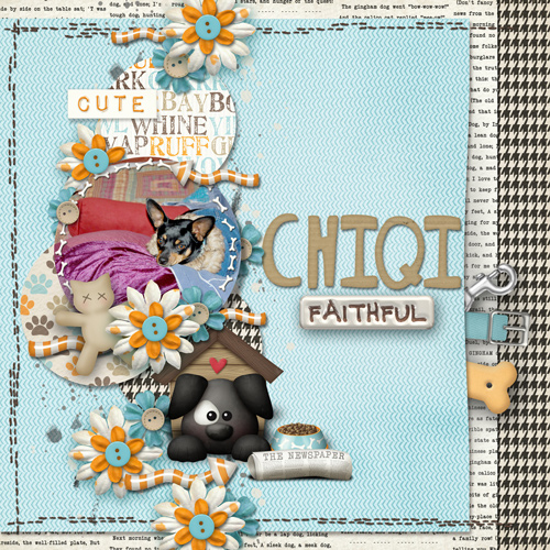 Chiqi faithful