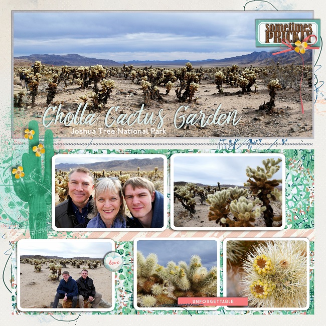 Cholla Cactus Garden
