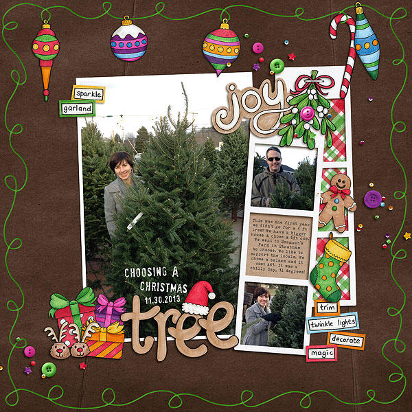 Choosing a Chrismas Tree
