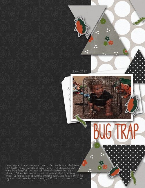 Christian-bug-trap-web