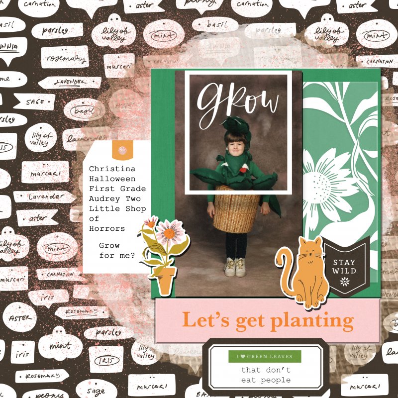 Christina Grow For Me Audrey 2 Plant Sahin Designs Garden Helper Kit
