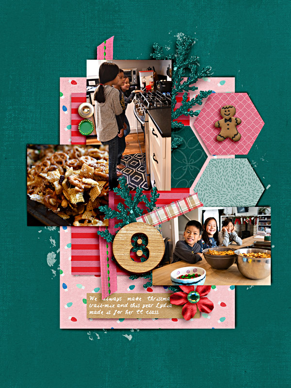 Christmas Album - Memory 8
