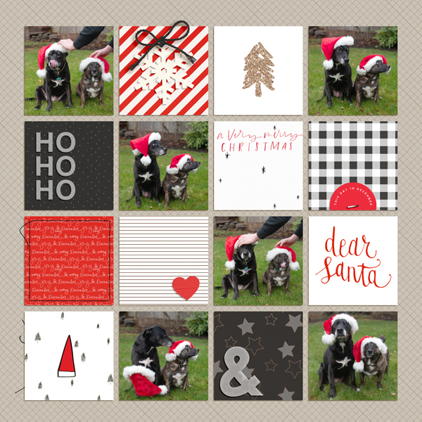 Christmas card outtakes