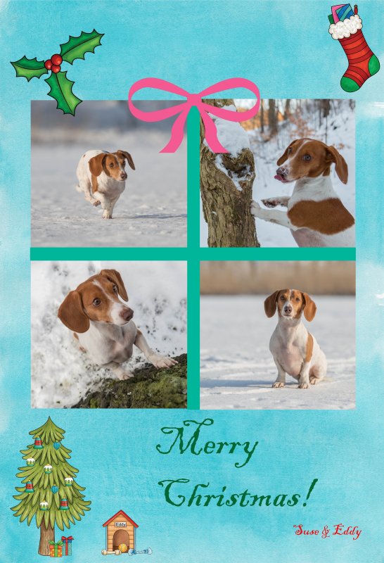 Christmas Card