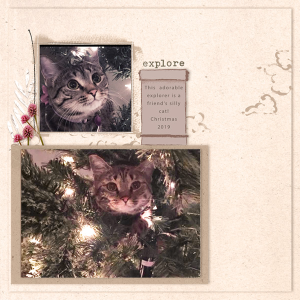 Christmas Explorer