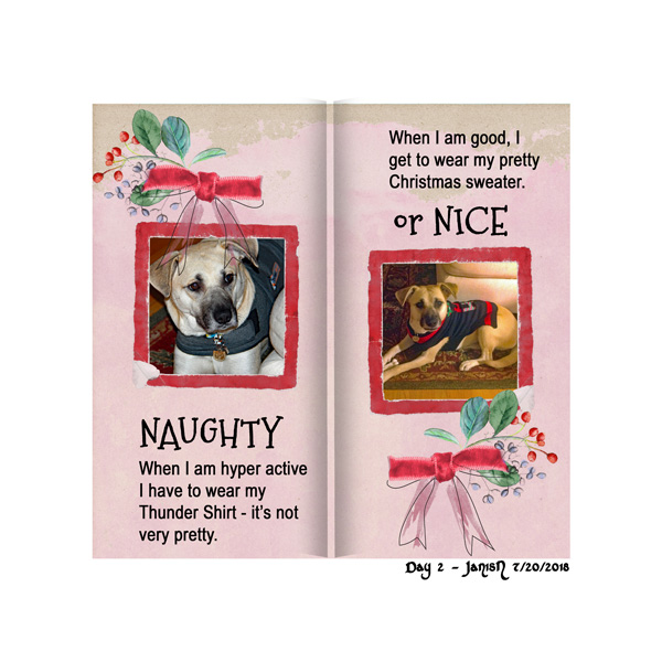 Christmas in July - Day 2