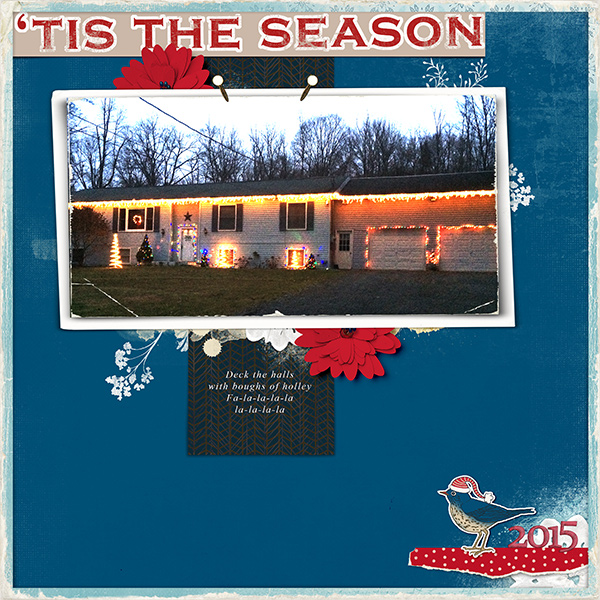 Christmas Lights 15