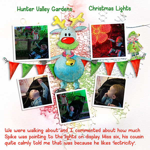 Christmas Lights Copy