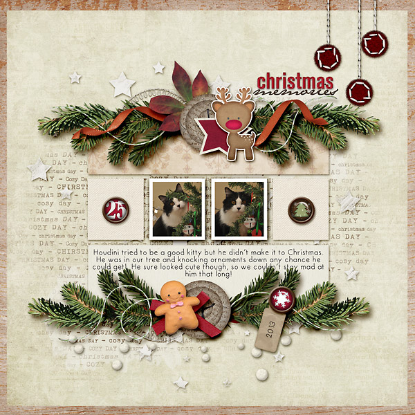 Christmas Memories