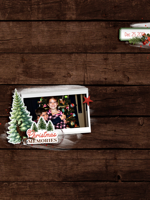 Christmas Memories