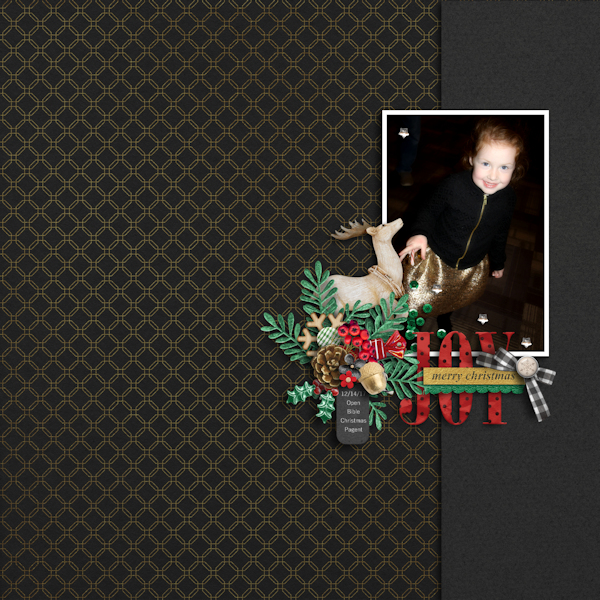 Christmas Pagent