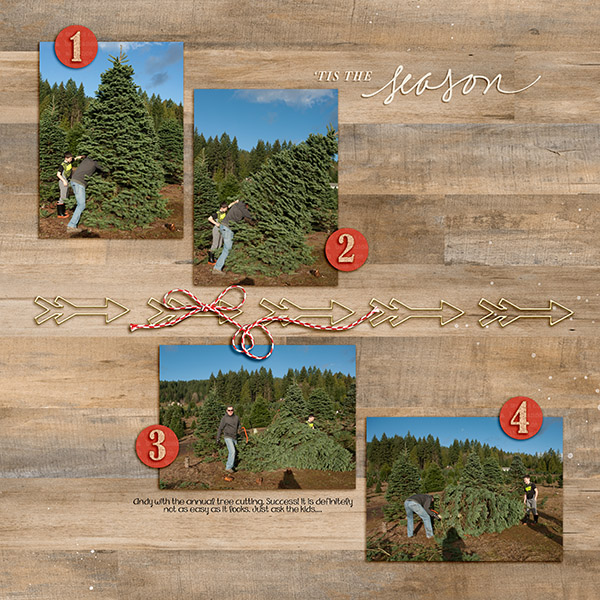 Christmas Tree Hunt