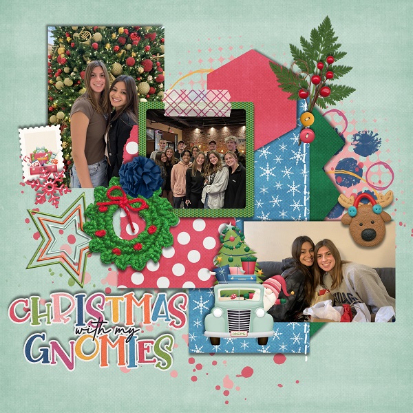 CHRISTMAS WITH MY GNOMIES