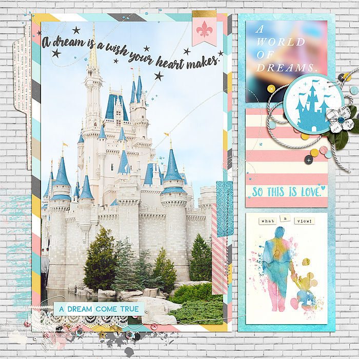 Cinderella's Castle