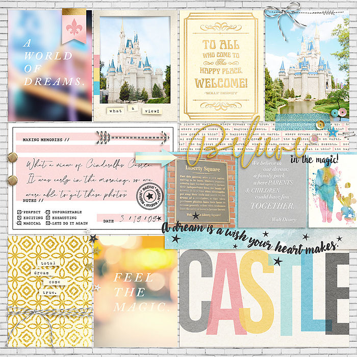 Cinderella's Castle
