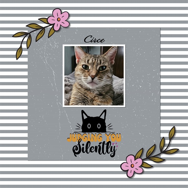 Circe - Judging You Silently