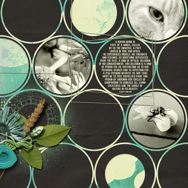 Circles of compassion