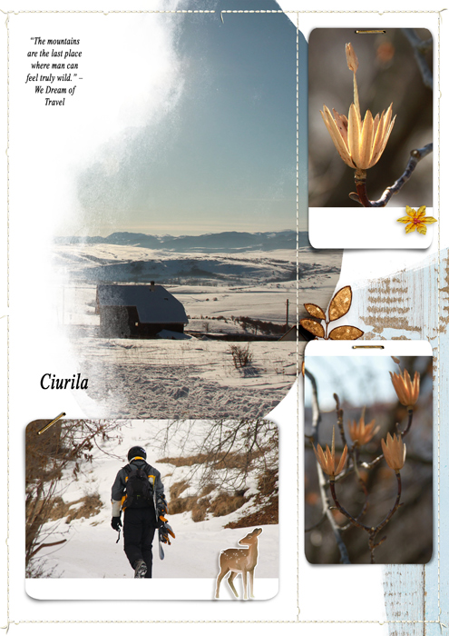 Ciurila