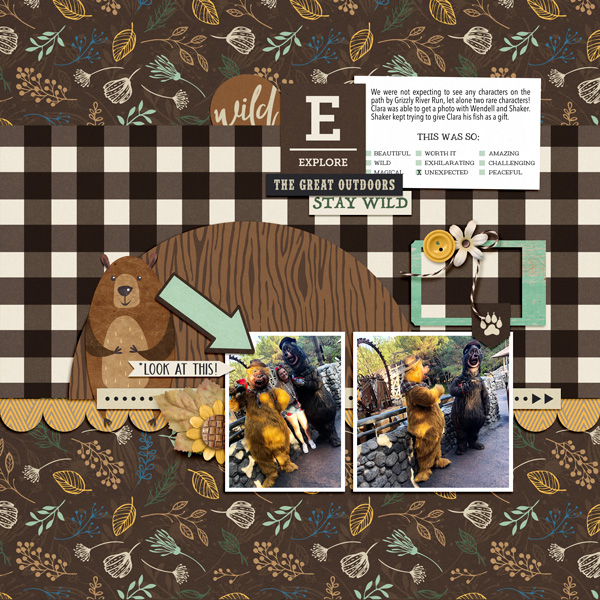 Clara and the Bears