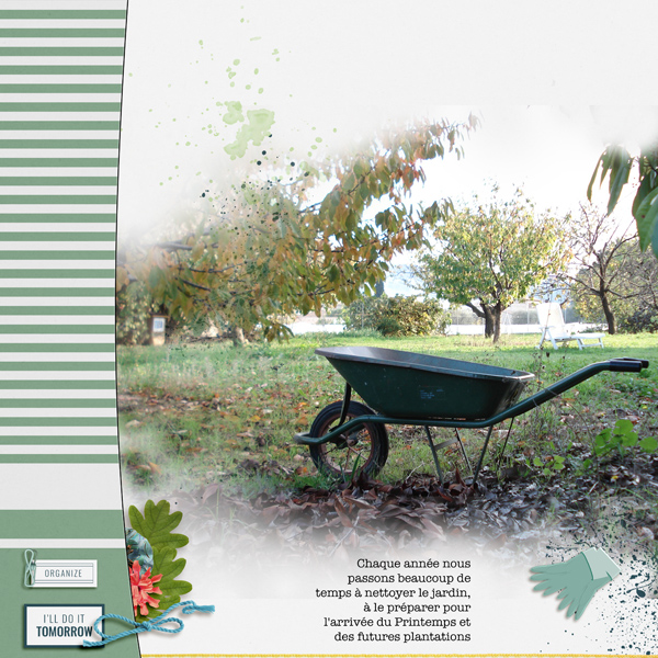 Cleaning garden