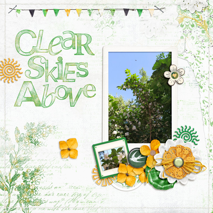 Clear Skies Above