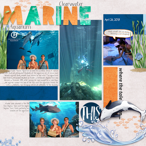 Clearwater Marine Aquarium