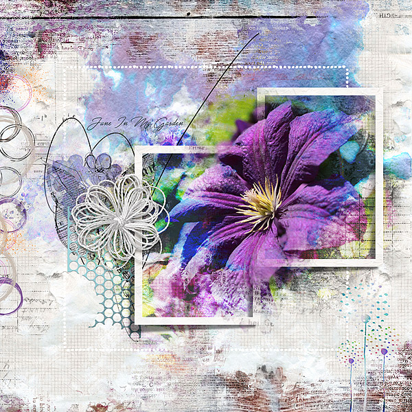 Clematis