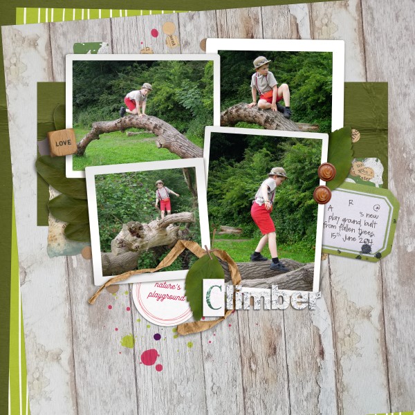 Climber - Nature's Playground