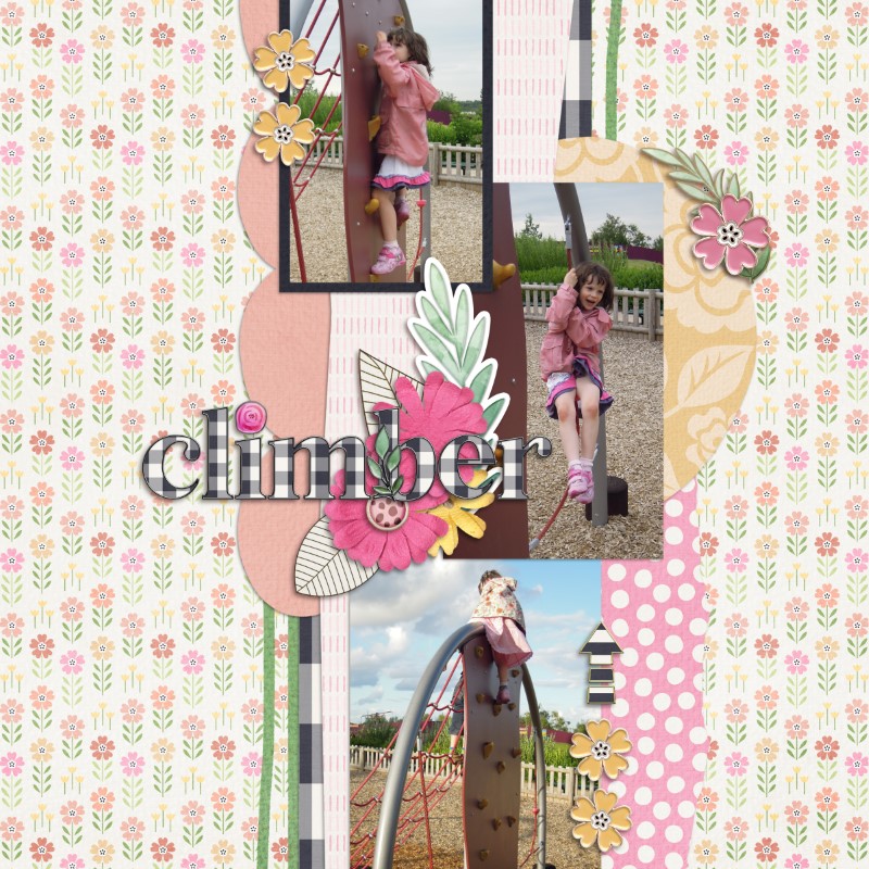 Climber