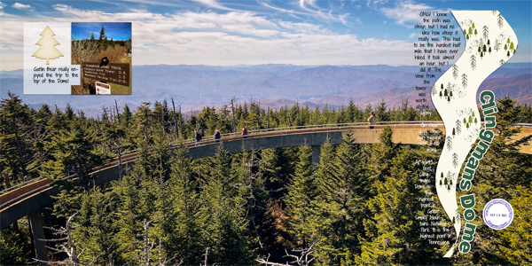 Clingmans Dome