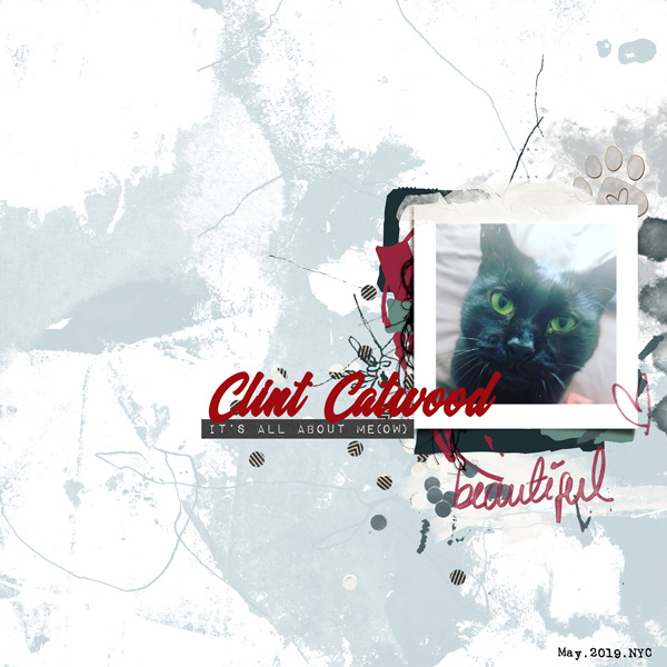 Clint Catwood