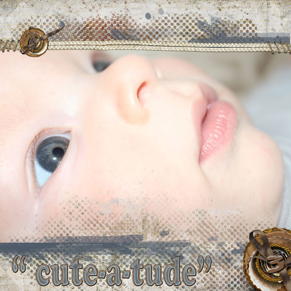 Close-up-Reed