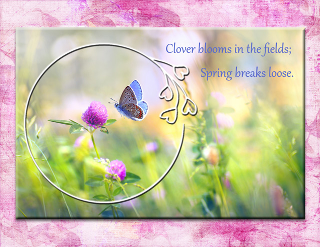 Clover