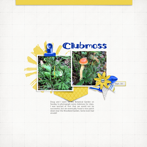 Club Moss