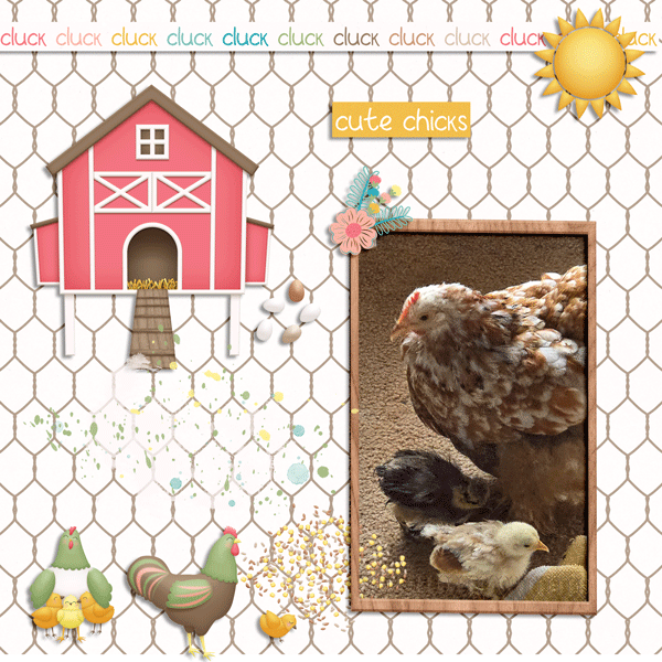 CLUCK--WEB.gif