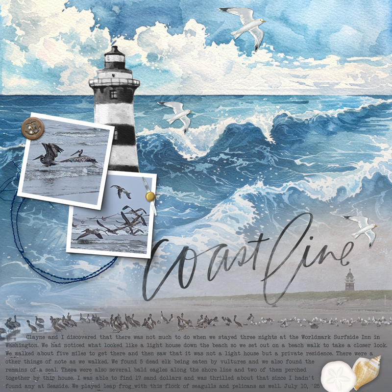 Coast-line